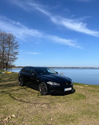 Jaguar XF cena 59900 przebieg: 178000, rok produkcji 2013 z Baborów małe 46
